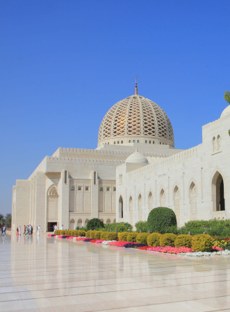 /assets/img/pickup/usa-muscat.png