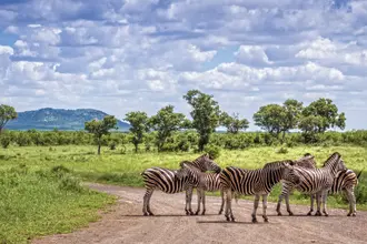 visa-south-africa